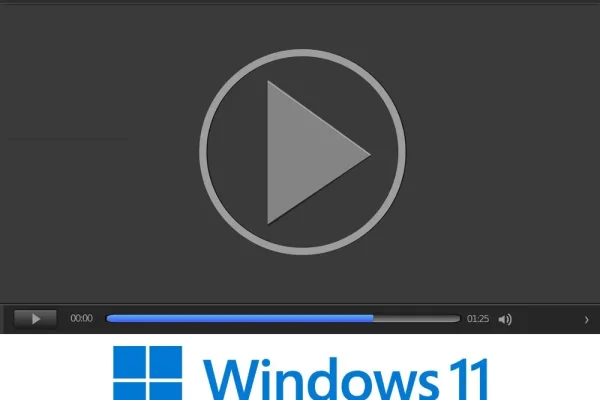 best video player for windows 11