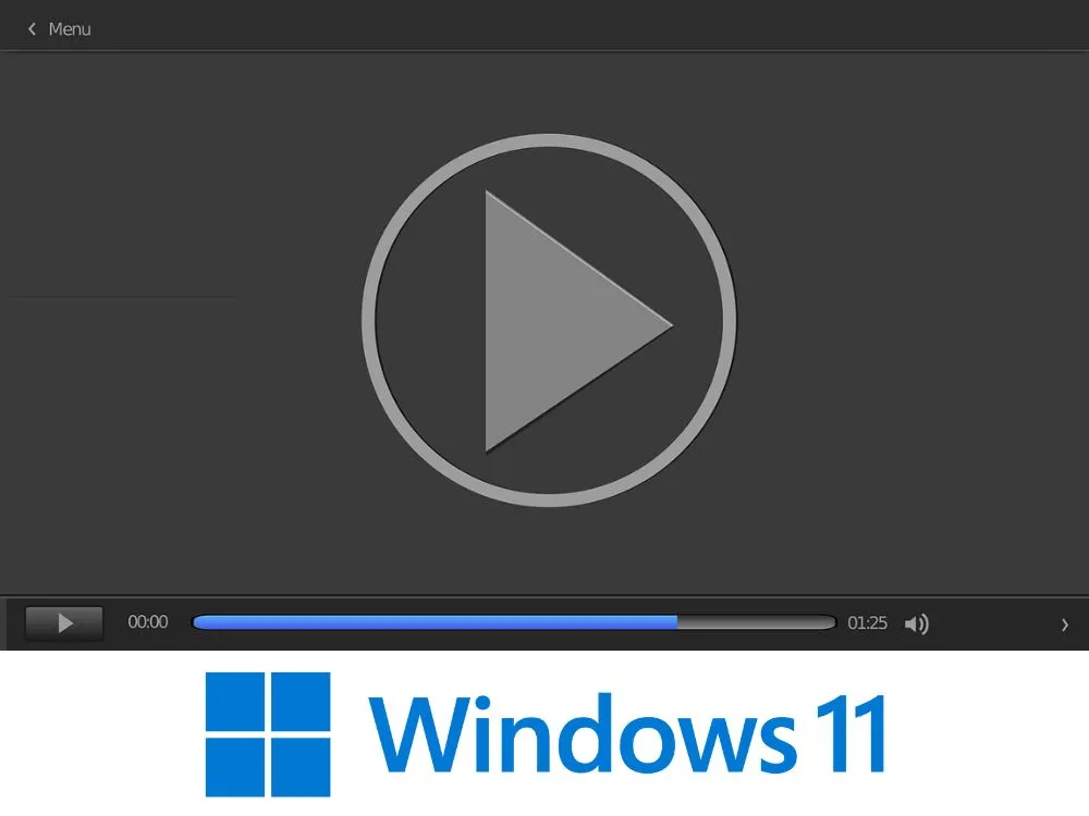 best video player for windows 11